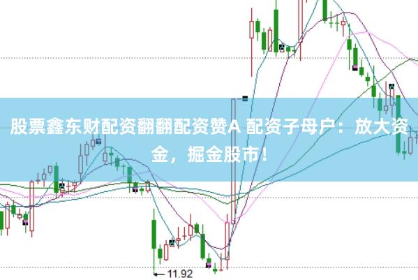 股票鑫东财配资翻翻配资赞A 配资子母户：放大资金，掘金股市！