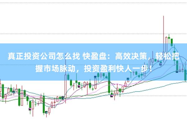 真正投资公司怎么找 快盈盘：高效决策，轻松把握市场脉动，投资盈利快人一步！
