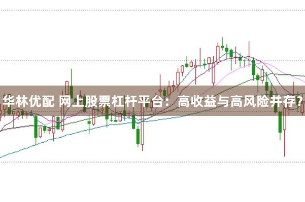 华林优配 网上股票杠杆平台：高收益与高风险并存？