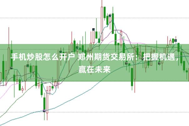 手机炒股怎么开户 郑州期货交易所：把握机遇，赢在未来