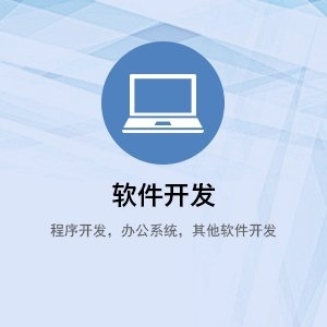 软件开发 程序开发 办公系统 其他软件开发_上海诣新信息科技有限公司服务列表